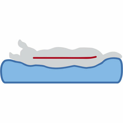 V5HDDCEC4B8B9F5ECABD99A28E60DB21BBER7463382P6