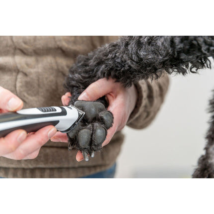 V2HDDE9E6C5A75E49B83412379A6A195D92R7610923P10