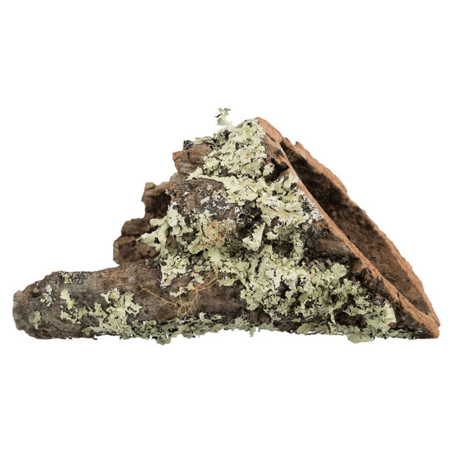 V5H96D7B8F8752F37C0698593CF236FE13CR7446165P1