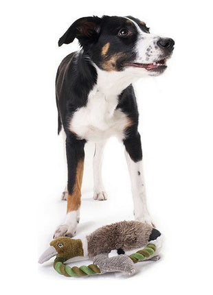 V11H36A8251F88097D677D41989D16D36248R5585058P2