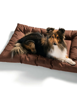 V7H8497772F9732CBACDFD38A80418B71B5R3709369P1