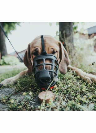 V10HD6ED2A24E27E91DE6A7551B111713AD1R4989128P2