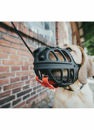 V10H8AB3354EEBF50964B6CFB451C2FBA561R4389384P3