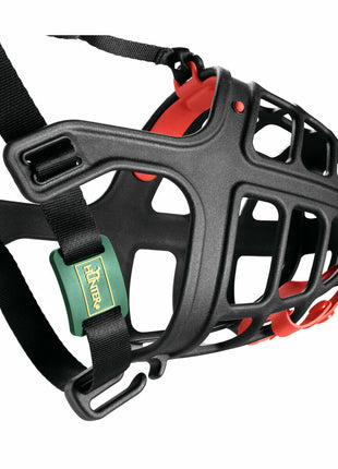 V10H466C65EF1E3A1A1C7E93889FBE4E1986R4389393P6