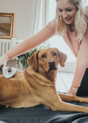 V10H34BB14197D33D0853DBFC0A6CDE9CE4CR3618718P5