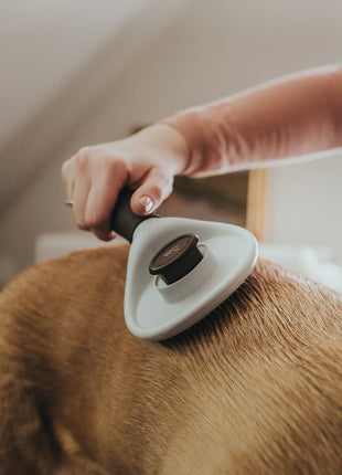 V10H232DAC8BE54B5A1571F717CAE7CA8698R3618720P7