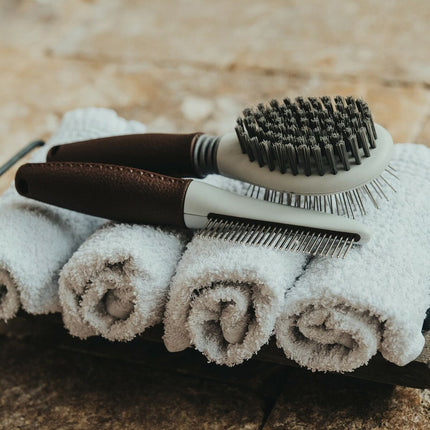 V11H429D9C077047D48DBB3DF0187C5BE7CDR5597843P4