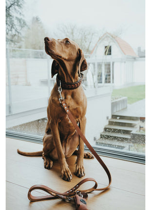 V4HFCDF2AD65CE6E7D7D542C1835CDD7EF3R7439474P3