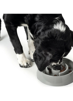 V13H6A741C411C8D9FFBF04A448550BAC873R6577495P3