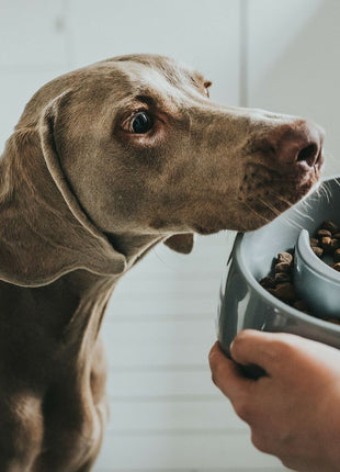 V13HD58030D77393EF7CD52992C1477B101ER6577498P4