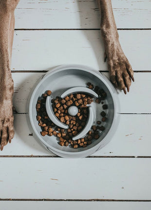 V14H8BB5ADE5524F0CE7D5CAD61468A0A3D1R6574157P2