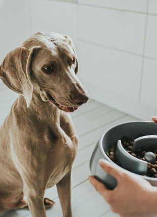 V14H104AAE4A07E1B9962AF17A940435CBCFR6574161P5