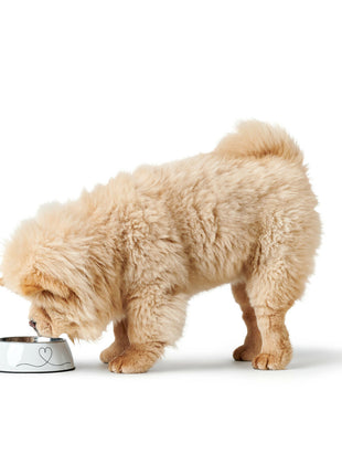 V5H68DE278E11D5F6DEA536399E08B32857R5574386P2