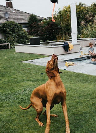 V11HE5AD45BB54B87A597987B7E446841901R3888685P2