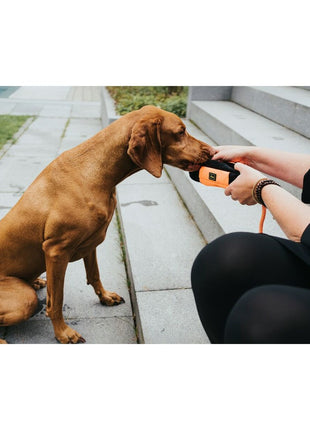 V11H6A1ED58DD030CD7D2829C0B9D339DBD4R3888691P6