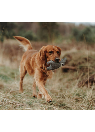 V7H1A897E172D58E67763440914589042ACR5333687P2