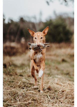 V7HAF8B8457E4D379495FEBC706FF9386E4R5333700P4