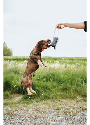 V5H872E2024DF96A1639DA7F2DF0A72BA0AR5574806P2