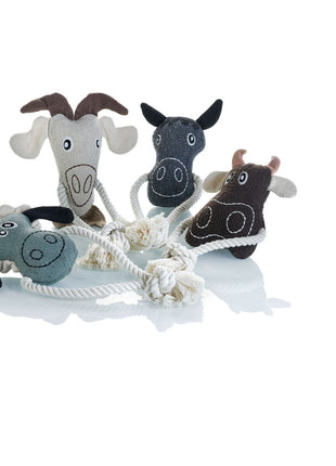 V5HB81037A1EB7E7BD4A6F1F4D75583F075R5574764P3