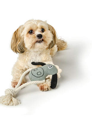 V5H992796FB7372658703E019837B6A2E1CR5574741P5