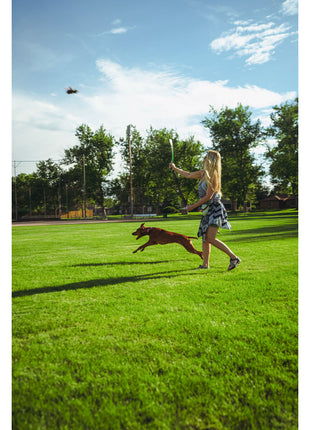 V6HBA1138760C29CBA0393E13926BD63E9AR5333753P6