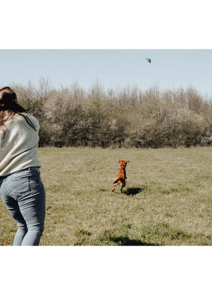 V6H4993B7F11AE04677988EEB30E3839F49R5333765P7