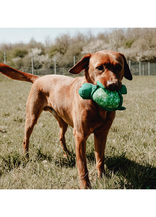 V6H166FFD653DAA68F78D5F75898222741CR5333767P8