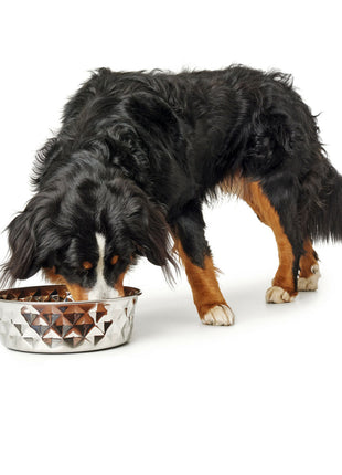 V7HE1C35B67C62199DBAF4DD0F571329470R4438165P3