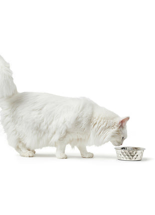 V7H2B793F1358AD786E095C0D25A1F71B97R4438166P4