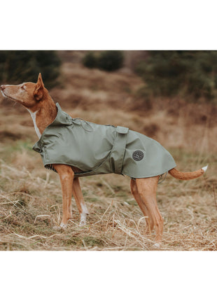 V6H6B88DA098DA3D61AE78DF6FA3571286CR4393677P5