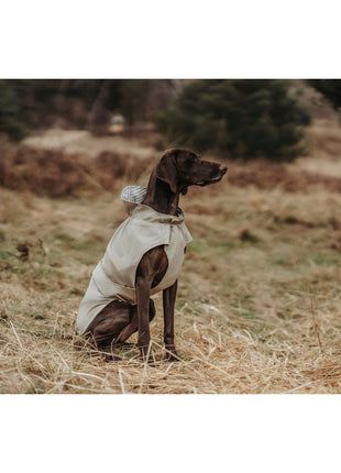 V6H0DDF76F392036239DE4EE298E25F416DR4393712P6