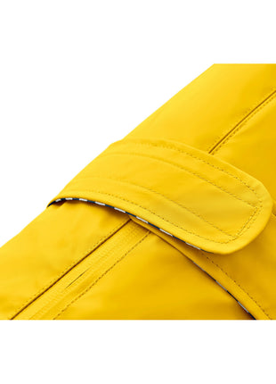 V6HE55605210504B59AB41C7794697CDD51R4393594P2