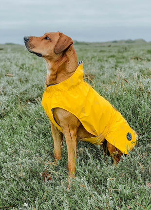 V6H8056424B2C9D4B66A16AD9F9CE7EC950R4393602P7