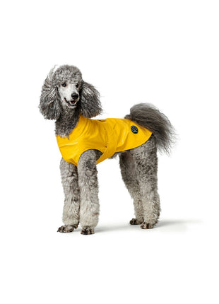 V6H6CB6D25D19BCEF72AC5B93CE84530298R4393591P1