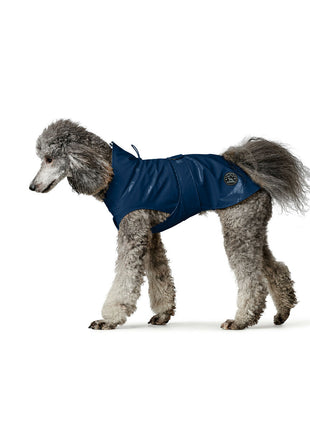 V6H7600DE5A8DFC3E5007D4240CC486E2F4R4669423P4