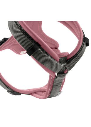 V7HFAB0BAF45D897F7506C485A82DAA6949R4217980P2