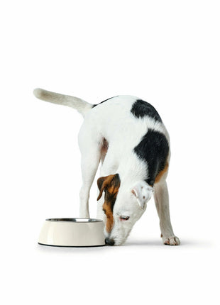 V7HD924FBA35659134AD068A3D905FA7EDCR4438108P2