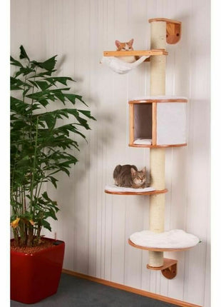 V12H7C1B981F042951CB8C9FD17EB6D9B921R6608376P3