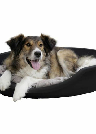 V6H337B649593A6ED7E9A4D4DFF1C7DCD40R5568375P3