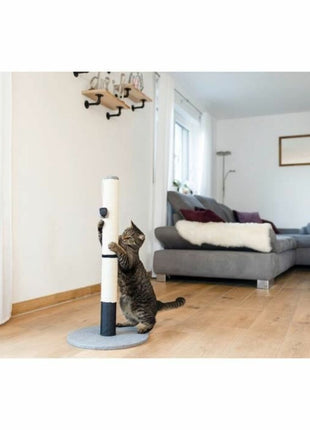 V5H9B1FC00B2AB9F081C486A85085AE6D77R5763411P4