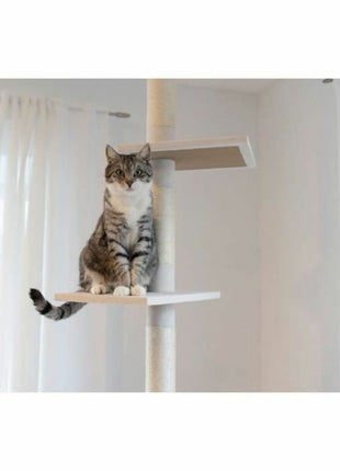 V5H99BA48E6CA2E821C791E5D71A39DAF1DR5763403P3