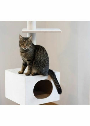 V5H5BEC29FDAE9EA779BB2D6153159A4FB2R5763408P5