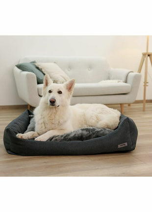 V8HC5BC494346F434608C22B49DC38CEFAAR6623270P5