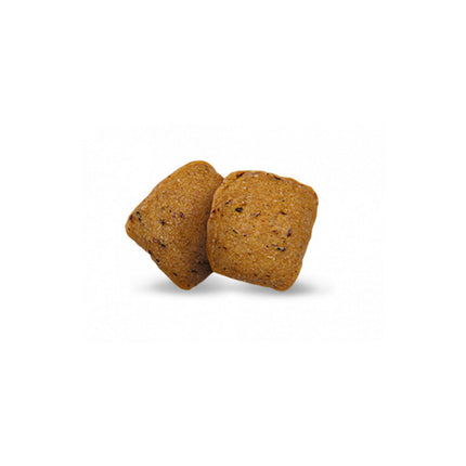 V8HC4A485D35D6735F467EF795E89B8E0E8R7502515P2