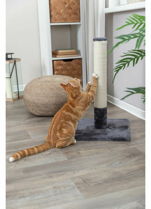 V5H3ED064DF54F79E183FDD6D5BE2C93FACR5785130P2