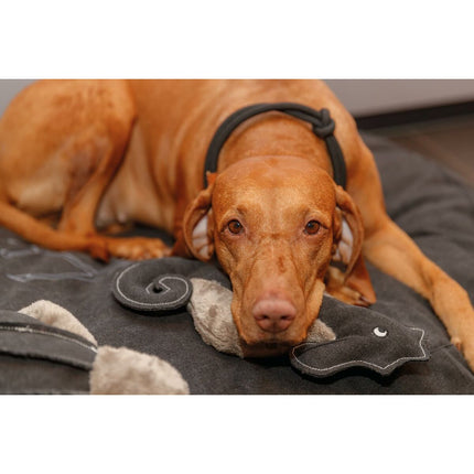 V5HC59FB77ECFAD880489759A577206EC99R5330289P4