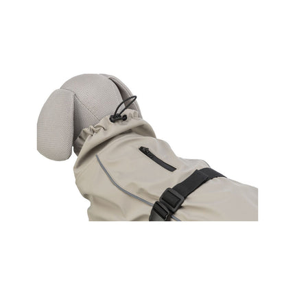 V7HA0E6A8EE945994DE8642E2A5C600F557R7447895P3