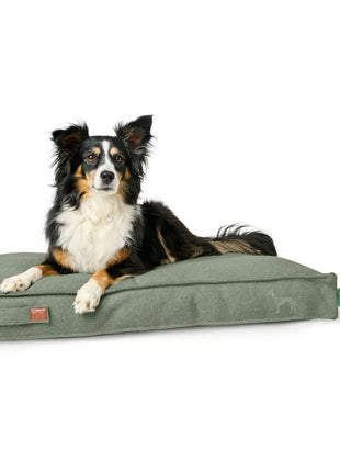 V5H2483AE99741374ABC41A5D787D075A69R5574642P4