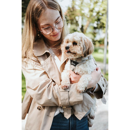 V3HC1ACBE9857F278CAD1C620BBC1B9AEB3R5575619P5