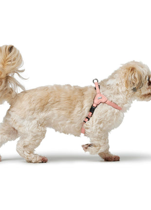 V5H3A5094673E462CE768F90DC9612D353FR5575752P7